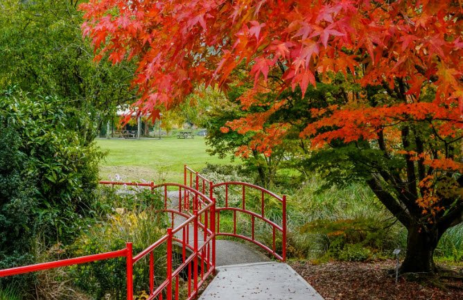 Tasmanian Arboretum, Australia